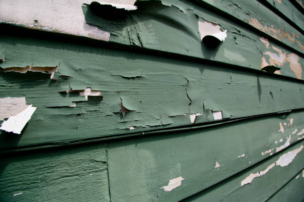 Best Residential Junk Removal  in Compo, CT